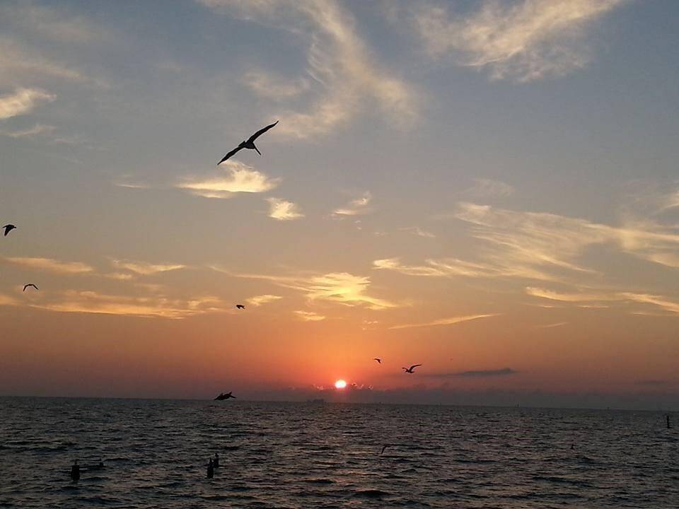 Watch the sunrise from the Seabrook Waterfront Disctrict.