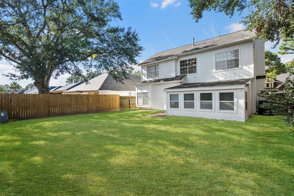 Back Yard
