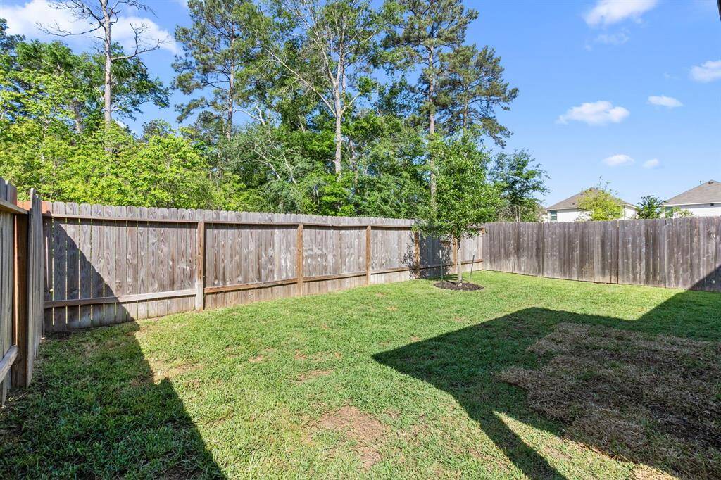 Freshly sodded backyard with a Greenspace!