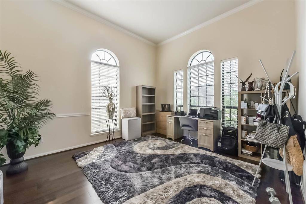 Ample natural light.