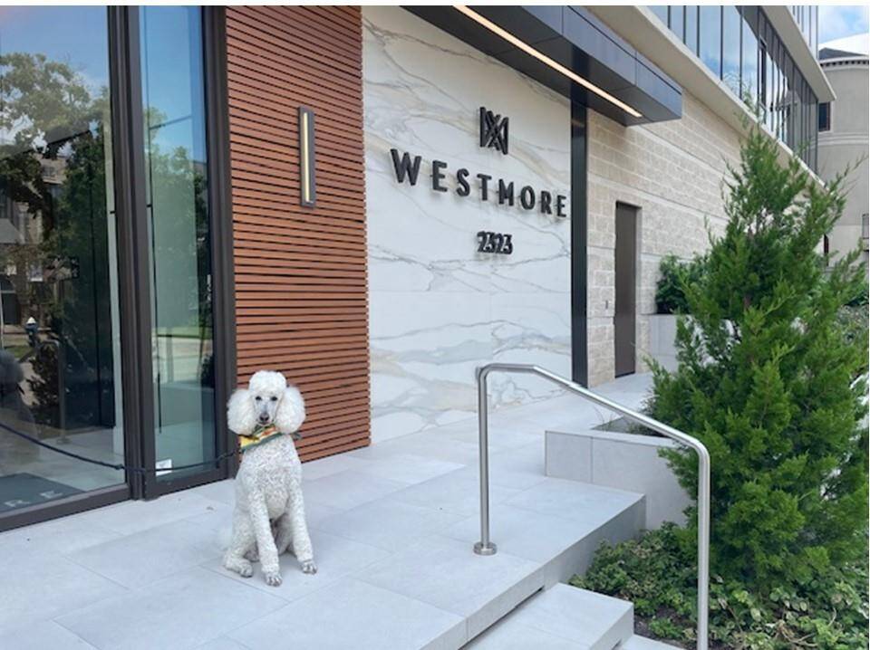 The Westmore is pet friendly and offers a small, private dog area for residents and their people.