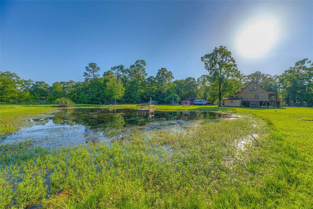 Picture of pond
