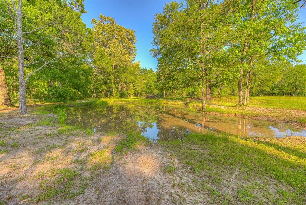 Second pond