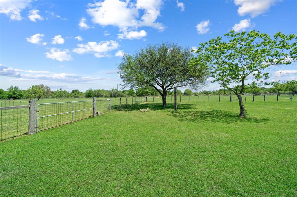 Wide open spaces, mature trees, and cross-fencing make this pasture ready for animals or recreation—plenty of room to roam!