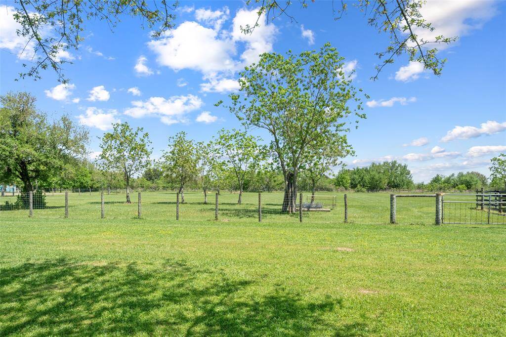 Fenced and cleared acreage offers plenty of space for grazing, with just the right amount of tree cover.