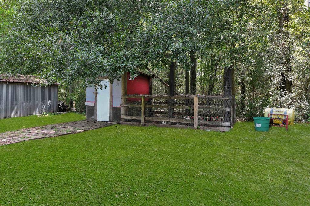 Chicken Coop