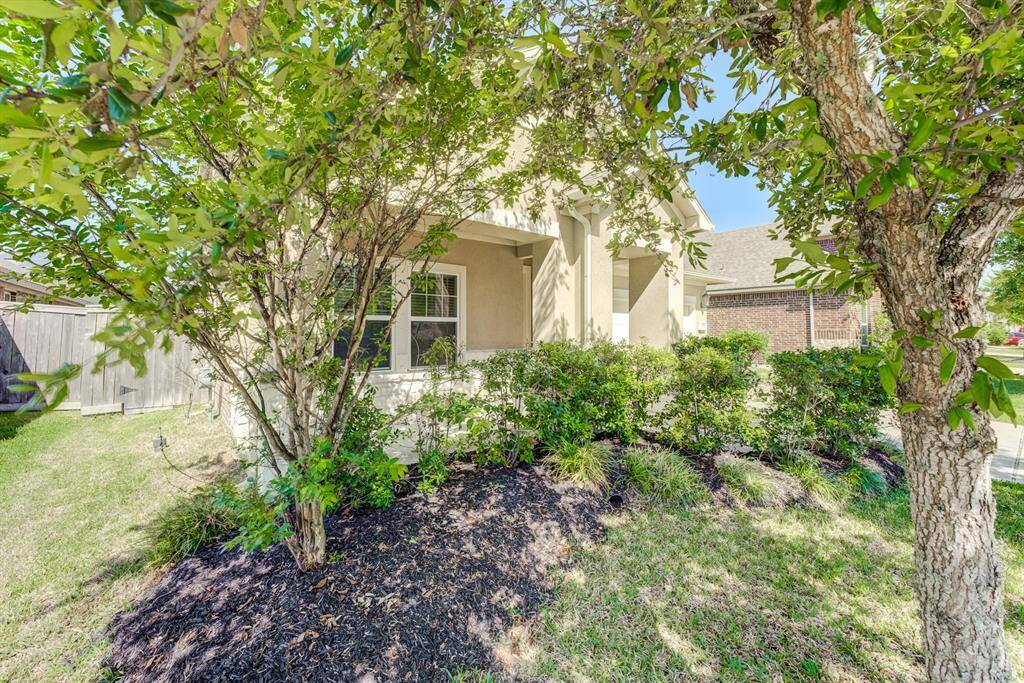 Nice front yard landscaping