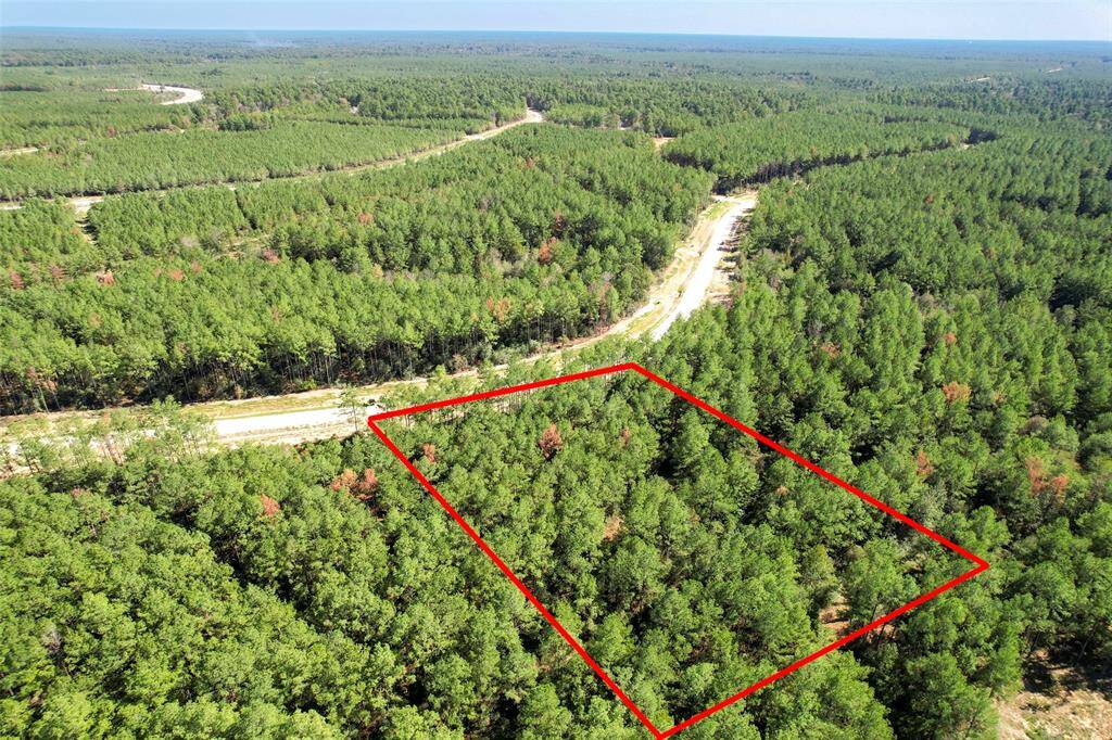 This photo shows a lush, forested plot of land outlined in red, surrounded by dense greenery. A dirt road is nearby, offering easy access. Ideal for those seeking privacy and a natural setting.