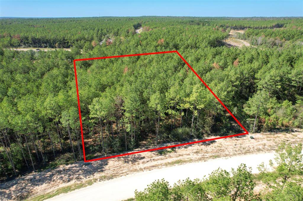 This photo shows a wooded plot of land outlined in red, surrounded by dense forest. It features a dirt road along the front, offering a secluded and natural setting. Perfect for those seeking privacy and a connection with nature.