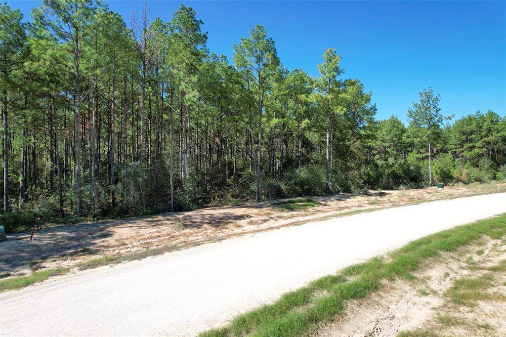 This photo shows a serene wooded area with tall trees lining a dirt road, offering a peaceful and natural setting ideal for building a home surrounded by nature.
