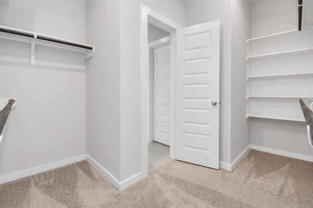 Roomy walk-in closet boasting high ceilings, plush carpeting, and built in shelving.