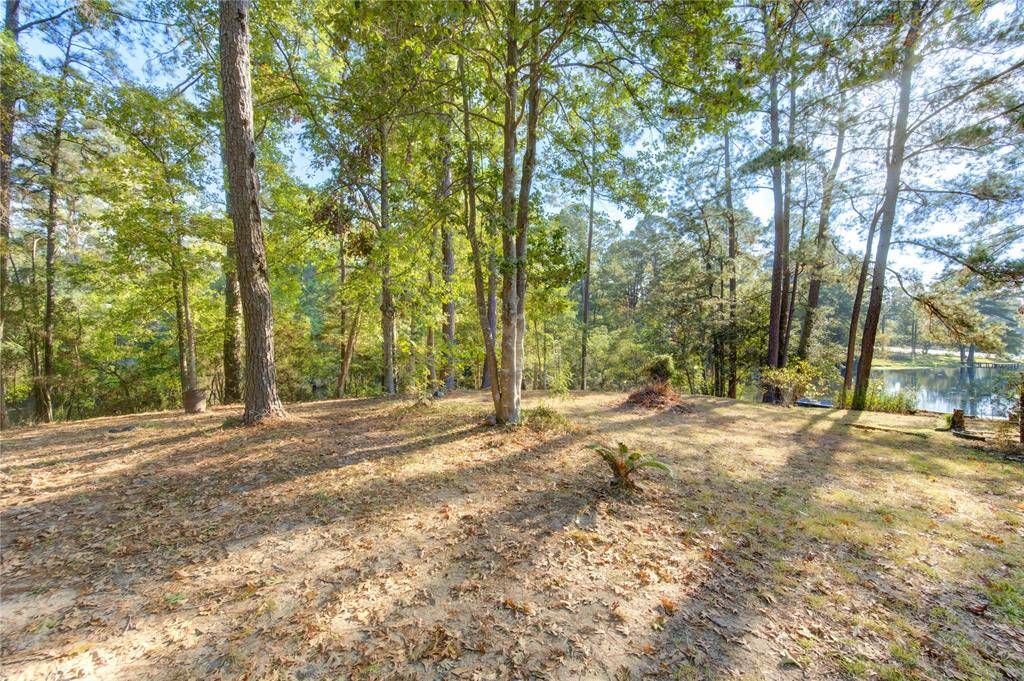 View of the land towards the water from the garage area.  Just a little clearing of the brush and you'll have full view of the lake.