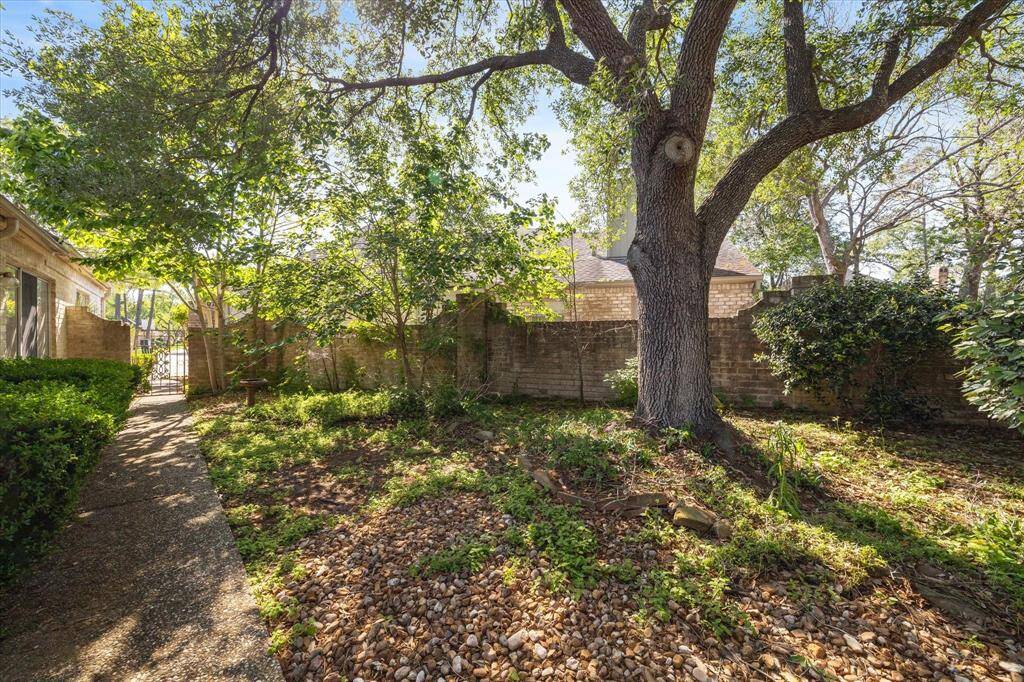 Charming backyard with mature trees and a stone pathway, offering a serene and private outdoor space. Ideal for relaxation and gardening.