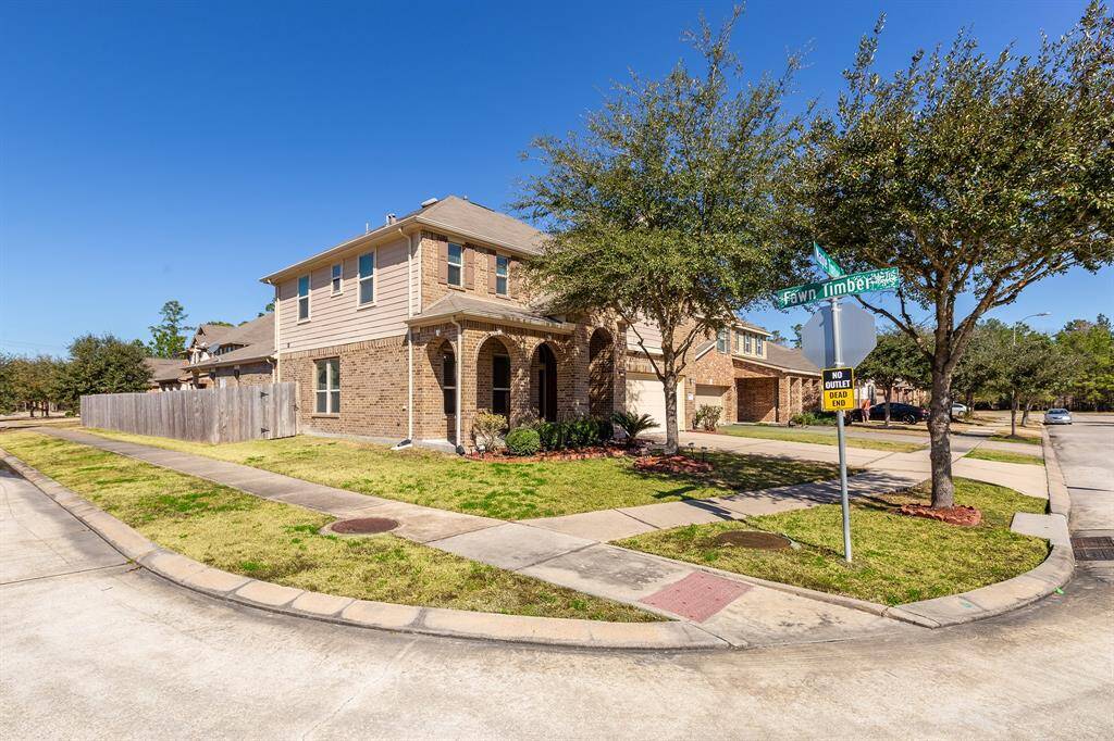 Property Image 39