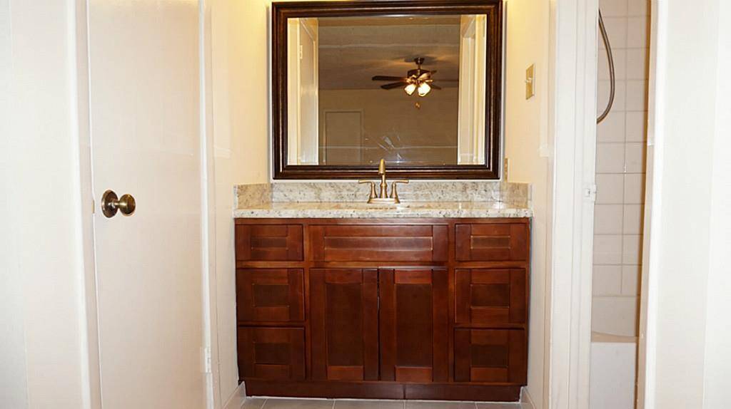 Master Bath Sink & Vanity