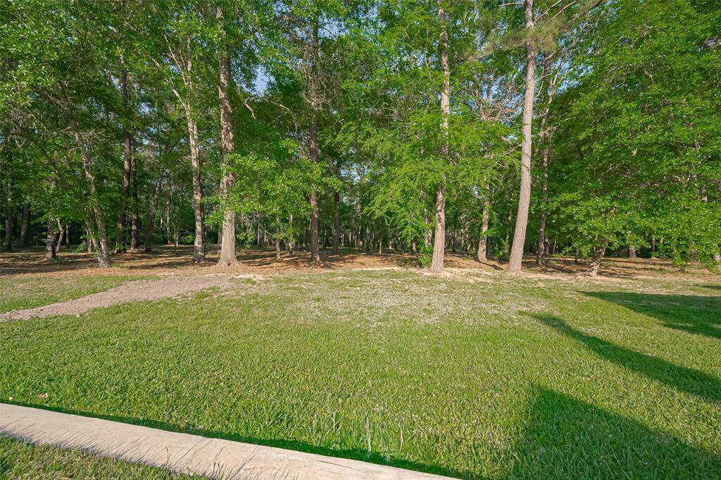 Grassy yard where the children and animals can run and play.