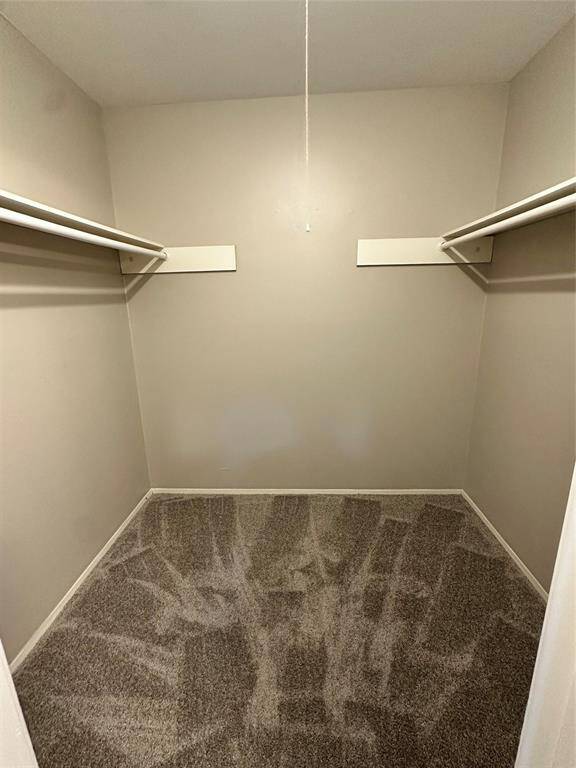 New Carpet
