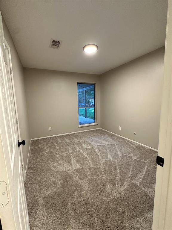 New Carpet