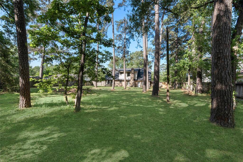 Park like back yard has room for games and more-