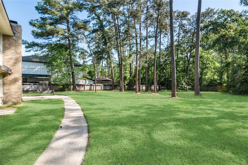 Another view of the back yard