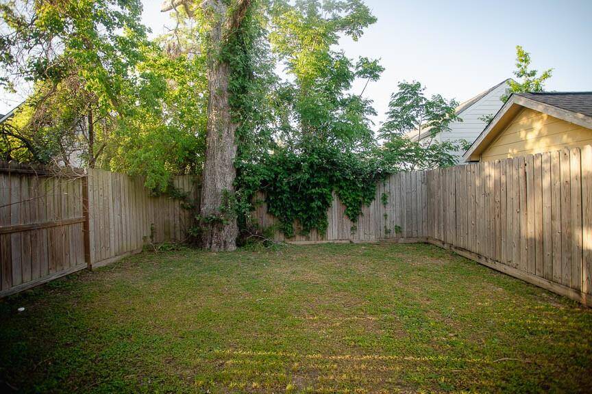 Backyard