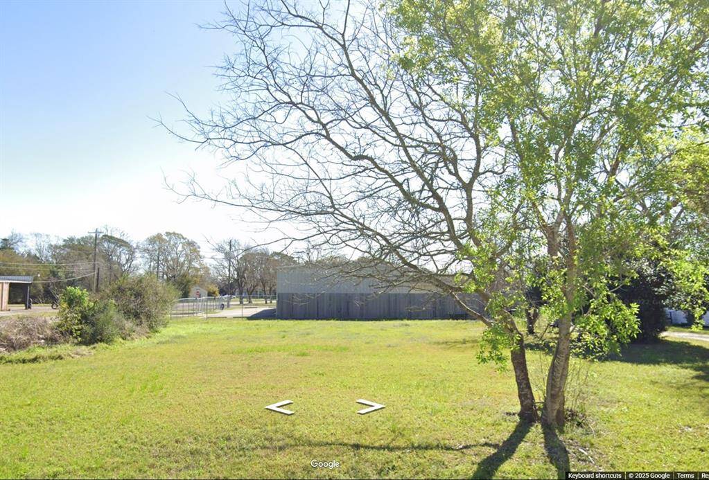 This photo shows a spacious, sunny plot of land with a few large trees, a clear grassy area, and a fence in the background. Ideal for building or landscaping.