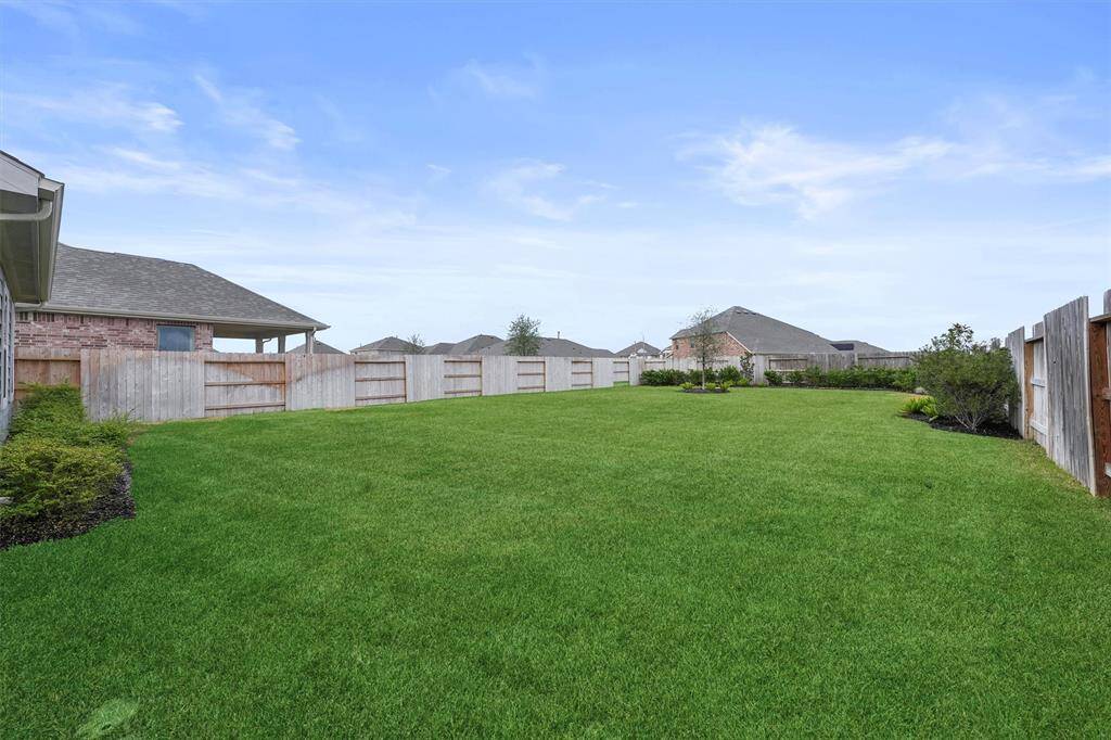 Back yard