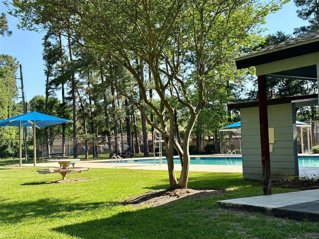 Community Pool
