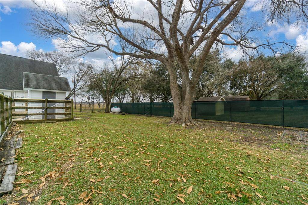 Enclosed back yard/dog run with mature trees!