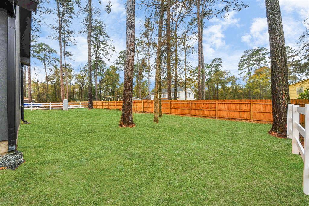 Nice Backyard