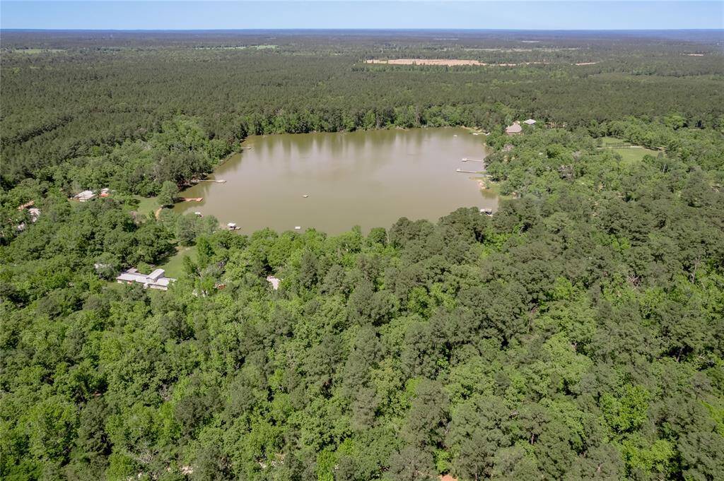 Ariel view of Lake Jennifer.