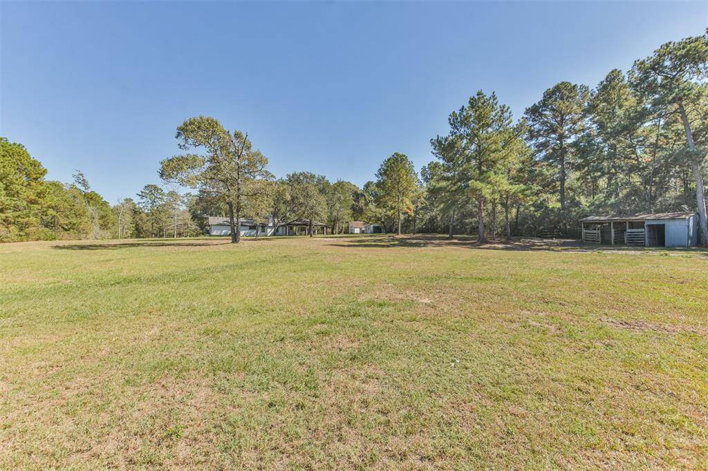 Small barn on the property and plenty of land to expand.