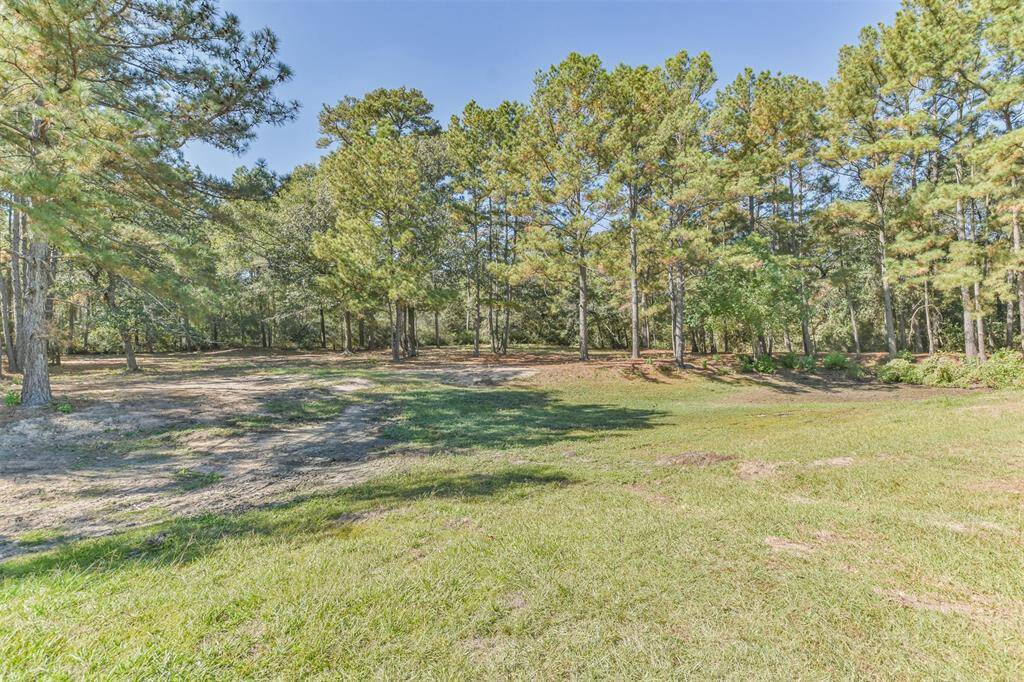 View from your property-6.5 lush acres with mature trees providing shade--lots of deer visit each morning.