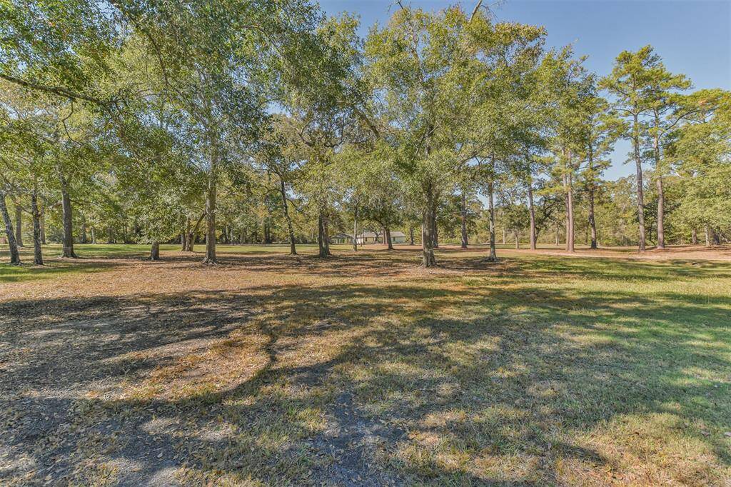 You can almost feel the quiet surround by tall glorious trees.