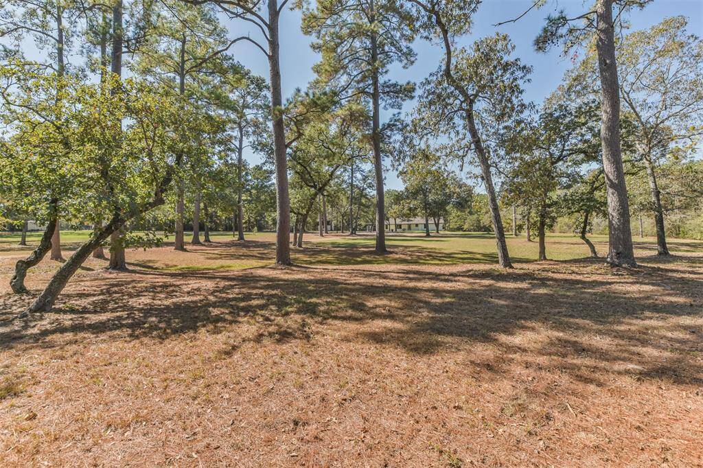 Unrestricted 6.5 acres provides so much opportunity.