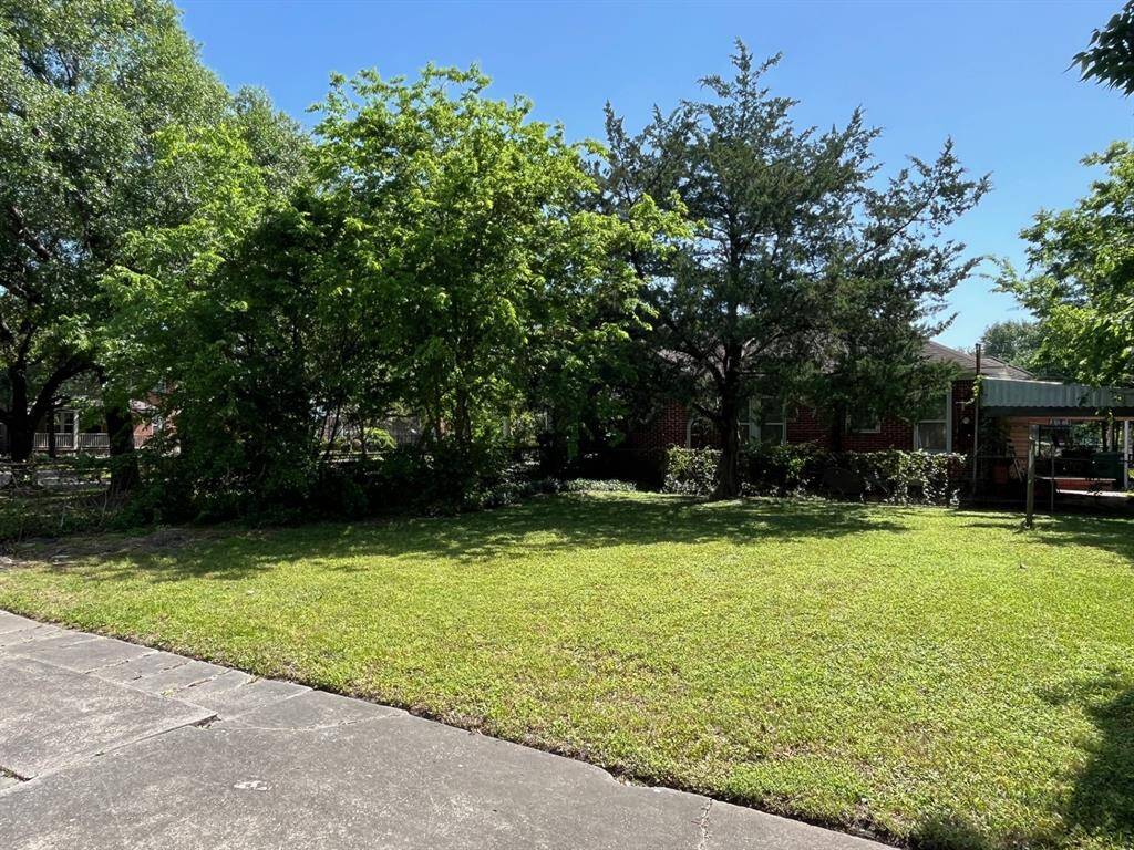View from driveway of side lot