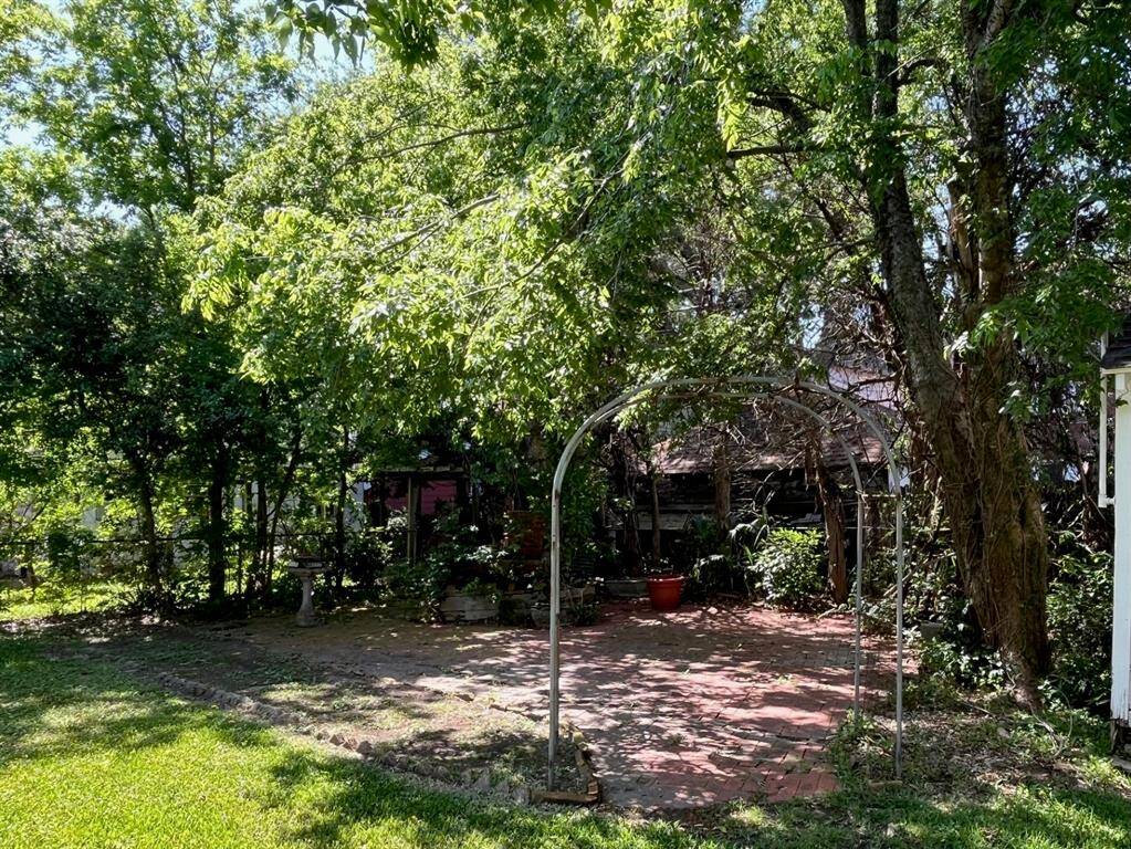 Back corner garden