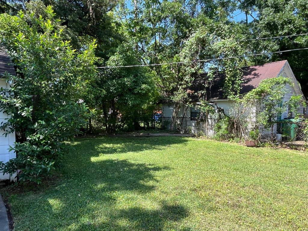 Rear yard directly behind the house