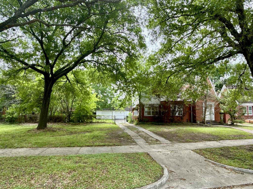 Driveway view