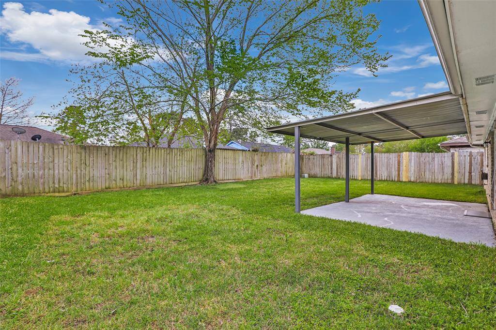 Backyard/ Covered patio