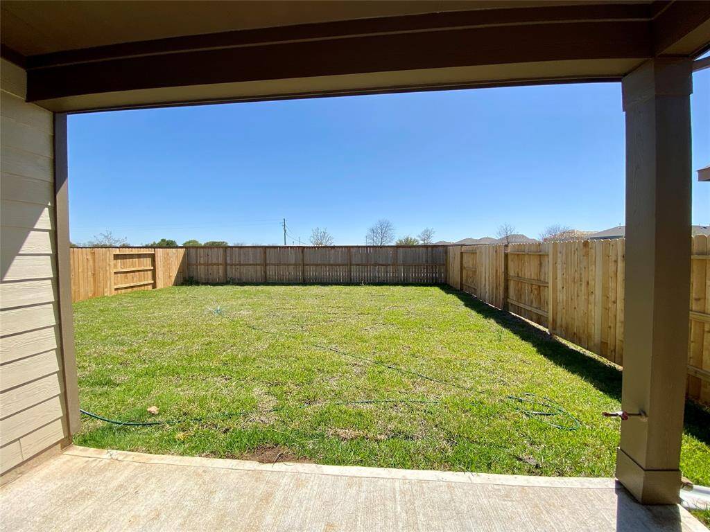 Backyard