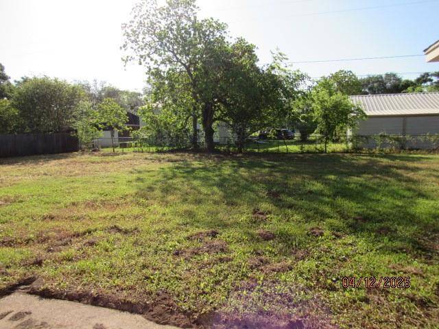 Back yard