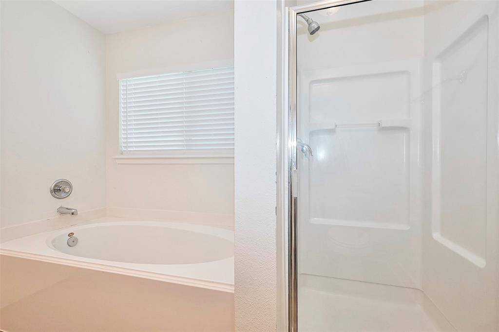 The primary bathroom features a standing shower and soaking tub