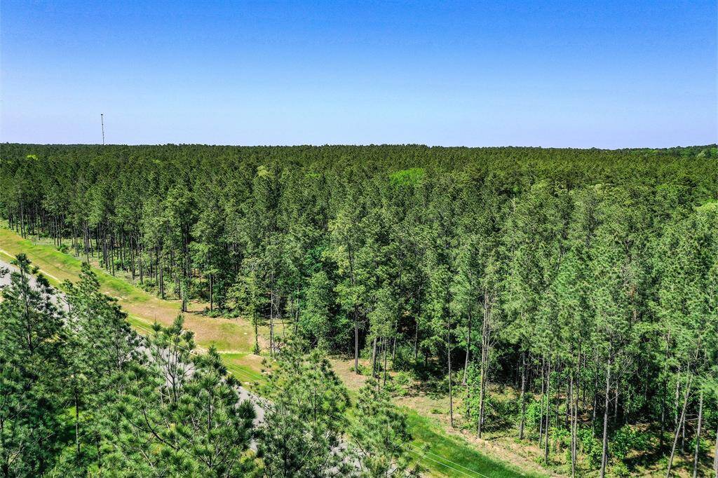 Nature and blue skies await