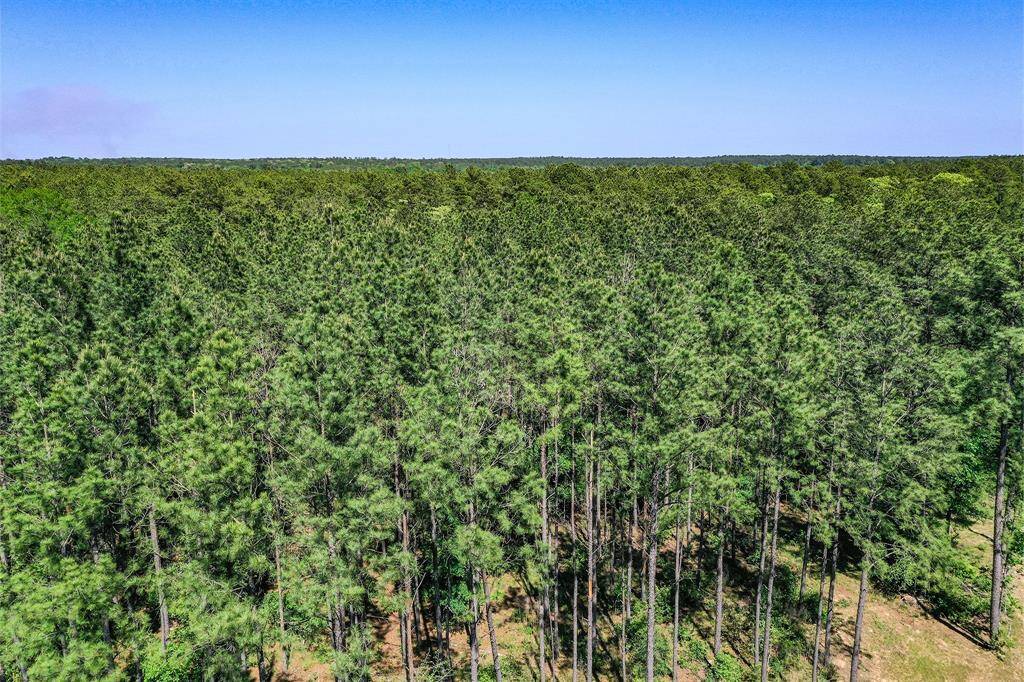 aerial of your property and what lies behind