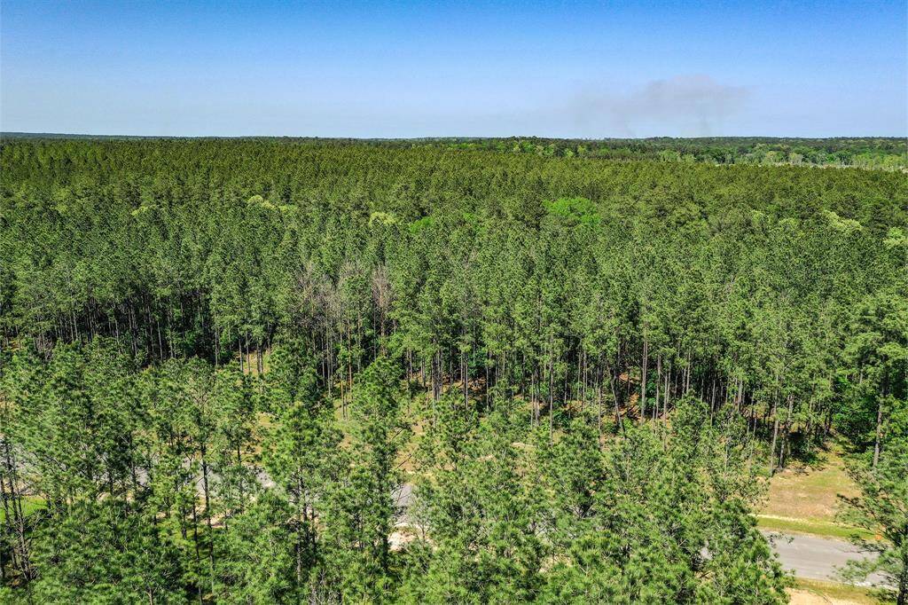 Stunning Wooded subdivision