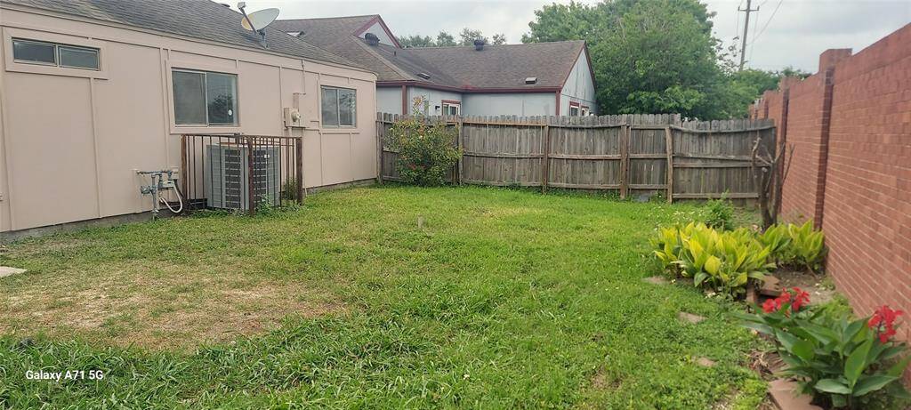 Back Yard View