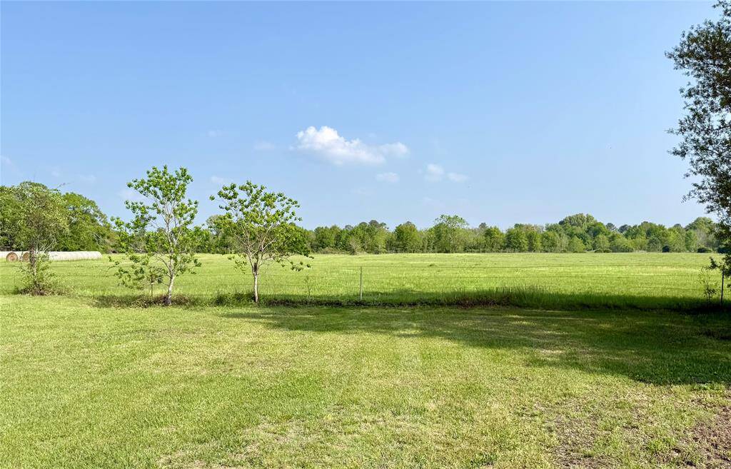 7.7 of 10.4 Acres Ag Exempt; Hay and Cattle Pasture
