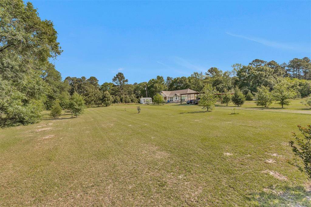 Another view of front yard.