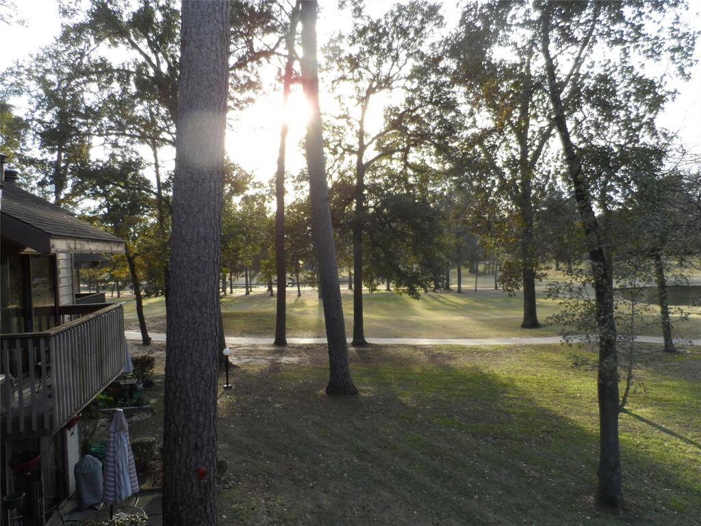 This photo showcases a serene backyard view on the 18th hole with tall trees and a lush green lawn. The sunlight peeks through the branches, creating a peaceful and natural atmosphere. Ideal for nature lovers seeking tranquility.